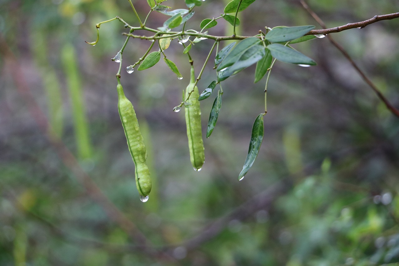 빙부상뜻