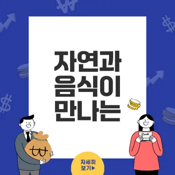 속초 가볼만한곳: 자연과 먹거리가 조화로운 속초 여행